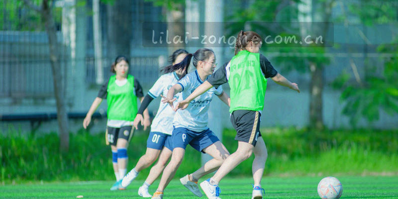 网站声明条款页背景中的抽象几何数据网格图
